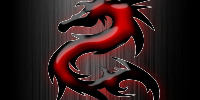 1024x768 Lucky Dragon Wallpapers - Top Free Lucky Dragon Backgrounds