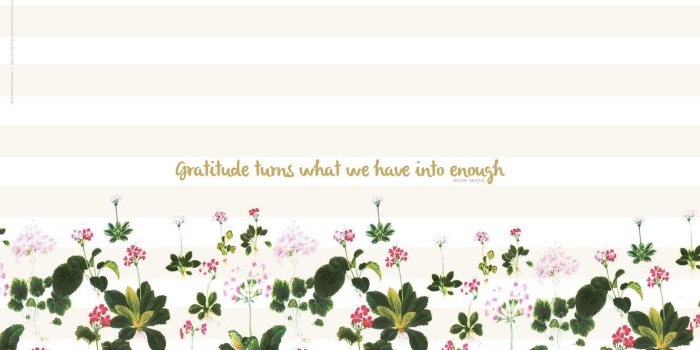 1920x1200 Light Pink Flowers Desktop Wallpaper Full Screen - Mac Wallpaper