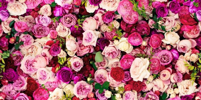 1440x900 Kate spade computer wallpaper Gallery