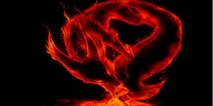 1920x1080 Red Dragon Wallpaper HD (65+ images)