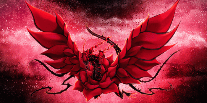 1920x1080 Black Rose Dragon wallpaper : yugioh