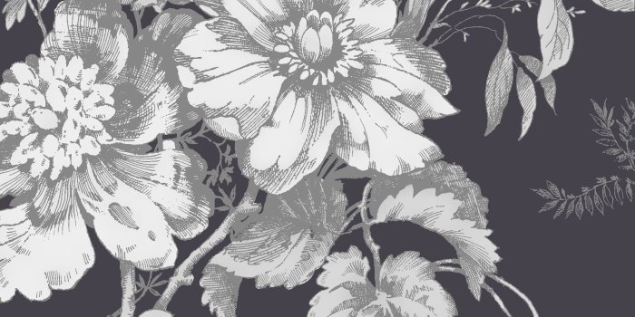 4000x4000 Black Floral Vintage Wallpapers