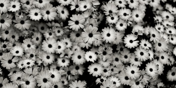 2560x1440 Black and White Ombre Wallpaper (56+ images)