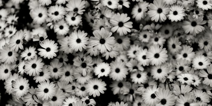 1920x1200 Tumblr Black and White Desktop Wallpapers - Top Free Tumblr Black