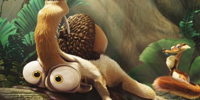 1600x1000 Funny Animal In Forest HD Wallpaper | Welcome To StarChop