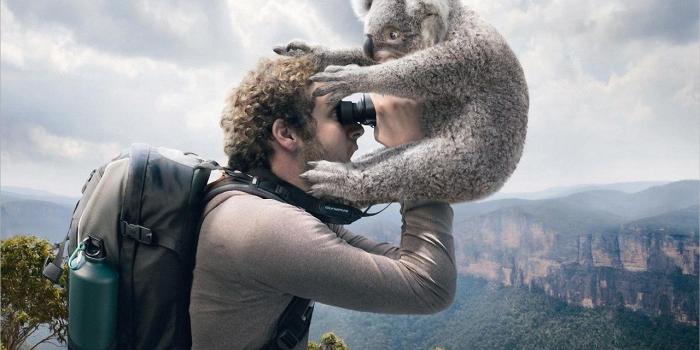 1280x800 TC: Funny Animal Desktop Wallpapers, High Definition Awesome 1280x800