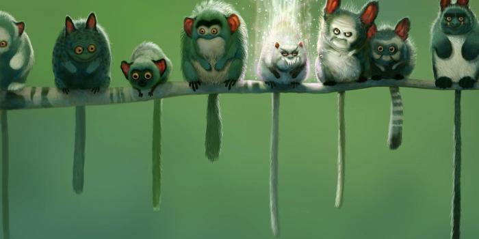 1600x1200 Cute funny pictures of animals download