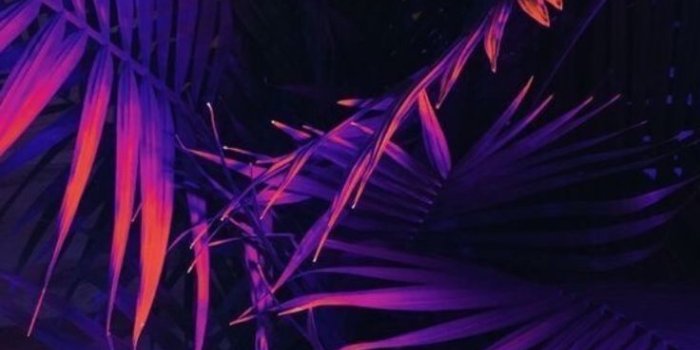 736x1309 Neon Aesthetic Phone Wallpapers - Top Free Neon Aesthetic Phone