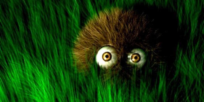 1106x722 Funny Animal Desktop Wallpaper | Free Coloring Pages