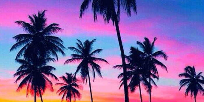 970x1568 silhouette of coconut trees HD wallpaper | T-Shirt in 2019 | Sunset