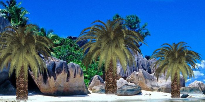 1920x1080 Palm Tree HD Desktop Wallpaper 30808 - Baltana