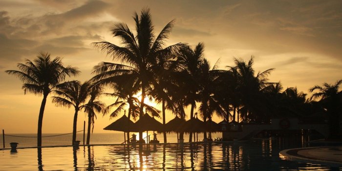 1920x1080 Palm Tree Sunset Wallpaper (70+ images)