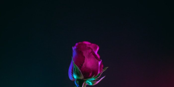 1080x1620 Download this photo by Dương Trần Quốc (@fanhungry) | wallpapers in