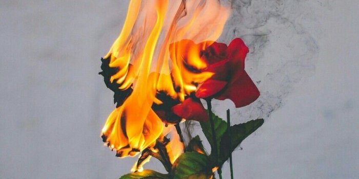 851x1280 Roses on fire | Random Shit in 2019 | Aesthetic wallpapers, Tumblr