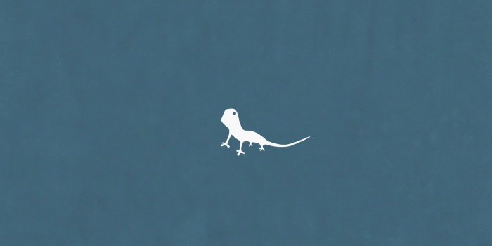 2048x2048 Some Visual Lizard iPad Wallpapers | Visual Lizard