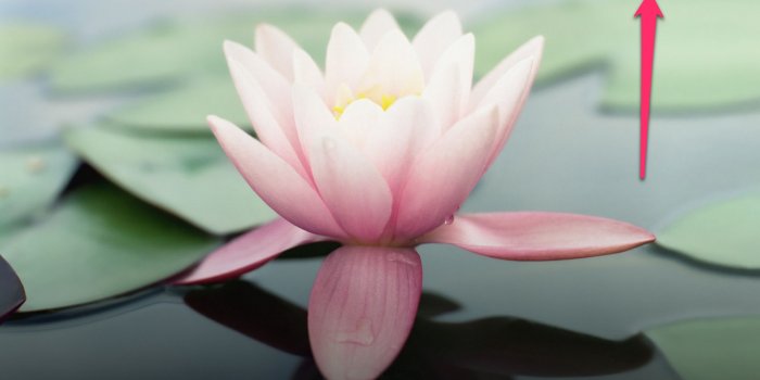 2732x2048 How to Change Your Wallpaper on Your iPhone or iPad: (part of the