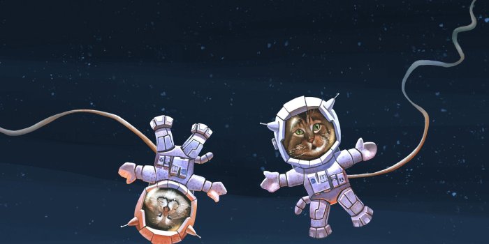 2524x2524 Tablet Wallpapers – Oskar & Klaus