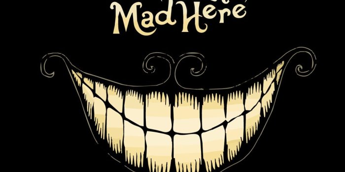 1024x1024 Funny Ipad Lock Screen Wallpapers 28+ - hdwallpaper20.com