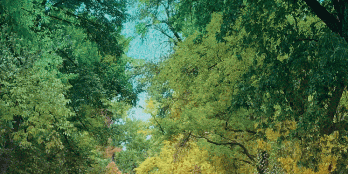 750x1289 How do I change my iPhone lock screen wallpaper? - Ask Dave Taylor