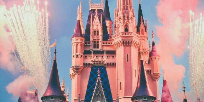 736x1104 Disney World iPhone Wallpapers - Top Free Disney World iPhone