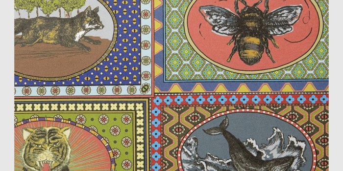 2400x2400 Tiger Cards print wallpaper | inspo ✨ | Print wallpaper, Vintage