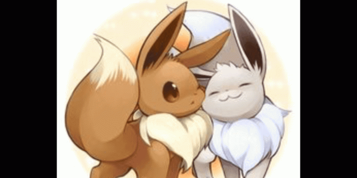2048x1536 Eevee X shiny Eevee My ship don't care if I get hate I ship it and