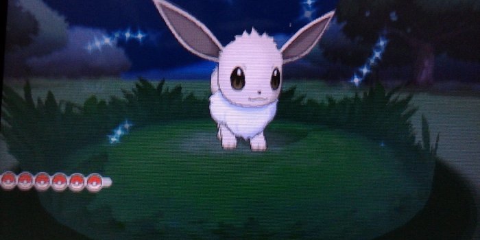 2048x1536 Eevee Live Wallpaper (71+ images)