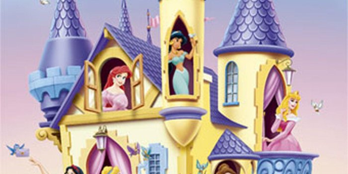 1600x2000 Disney Castle Backgrounds