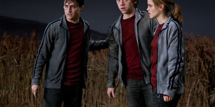 1280x853 Harry, Ron and Hermione - Harry, Ron and Hermione Photo (27238422