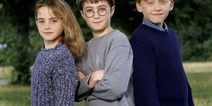 1024x768 Harry, Ron and Hermione Wallpaper in 2019 | Why is it always you