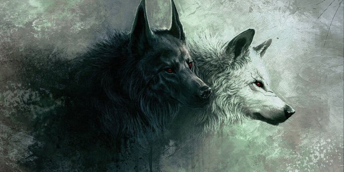 1920x1080 Cool Wolf Backgrounds ·① WallpaperTag