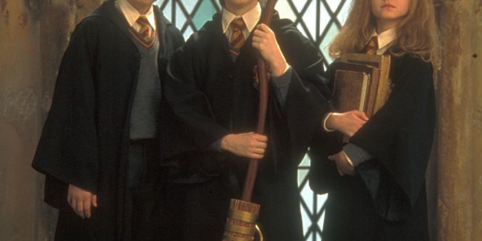 1458x1850 Harry, Ron And Hermione - Harry Potter Photo (19109577) - Fanpop