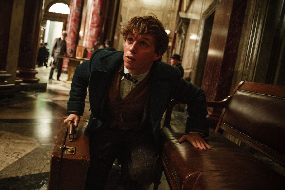 1200x800 To tie up the loose strings of Fantastic Beasts, you have to dig