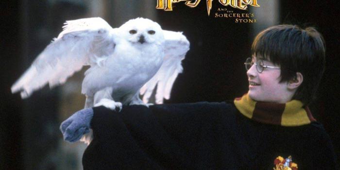 1024x768 Harry Potter and the Sorcerer's Stone - Harry James Potter Wallpaper