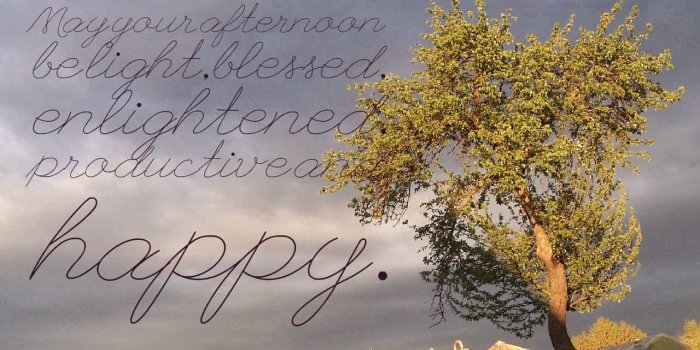 1280x800 Good Afternoon: Wishes Quotes and Messages | Whatsapp Status