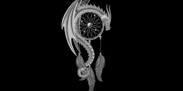 1332x850 Wallpaper dragon, minimalism, feathers, black background, dragon