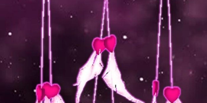 1080x2220 Black and pink dreamcatcher | Backgrounds in 2019 | Dreamcatcher