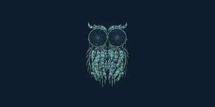 1920x1080 HD Owl dreamcatcher Wallpaper | Download Free - 149156