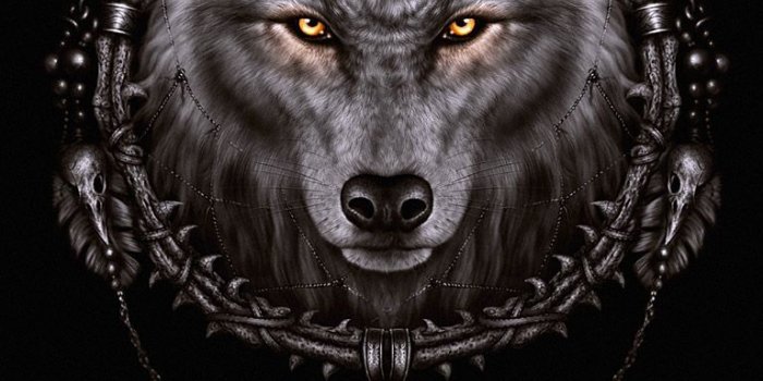 768x1024 Dream Wolf iPhone Wallpapers - Top Free Dream Wolf iPhone