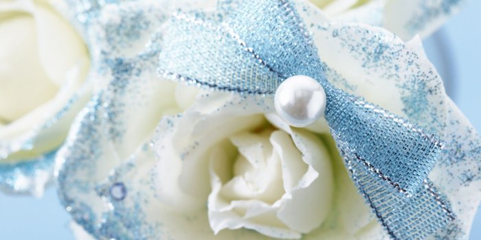 1920x1200 HDQ Beautiful White Rose Images & Wallpapers (Gallery Images: 50)