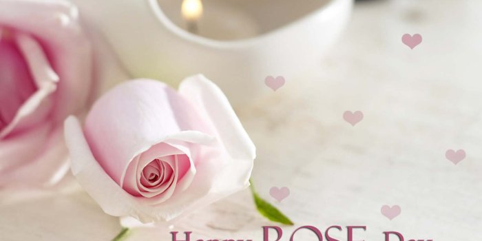 1600x1000 Happy Rose Day beautiful white roses flowers wallpaper