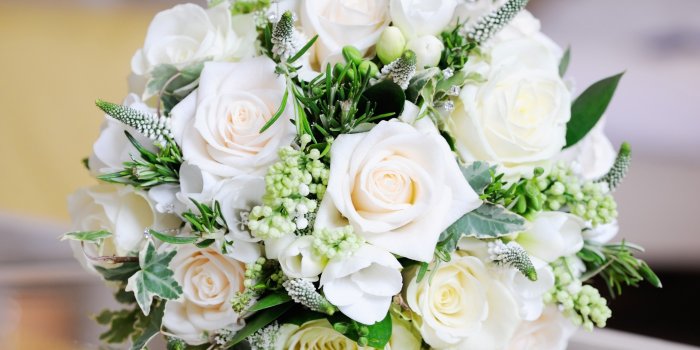 3840x2160 roses 4K wallpapers for your desktop or mobile screen free and easy