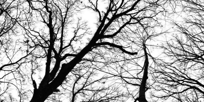 750x1334 black and white iphone wallpaper tumblr Buscar con Google