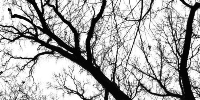 750x1334 35 HD Black & White iPhone Backgrounds
