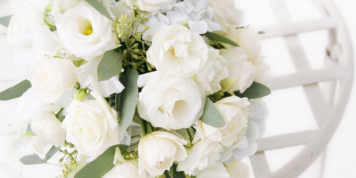 1920x1200 55+ White Roses Wallpapers - Download at WallpaperBro