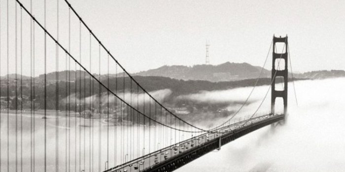 750x1334 Black and White iPhone wallpaper For iPhone 6