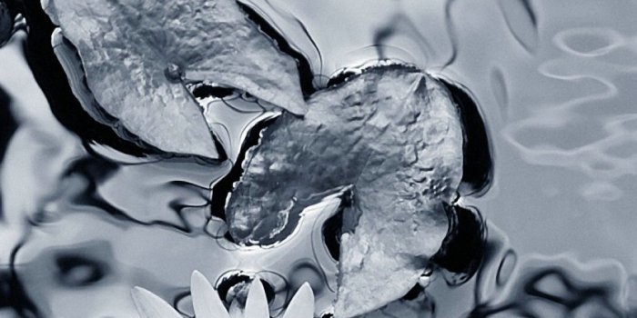 1080x1920 Black And White Iphone Wallpaper (44+ images) on Genchi.info