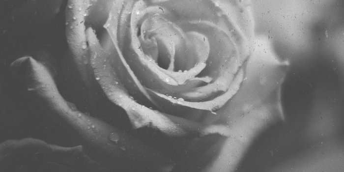 1000x2165 Your Weekly Wednesday Wallpaper — The TEKSide Network