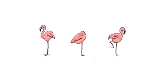 744x1392 Pretty pink flamingos | Anime | Fondo de pantalla para teléfonos