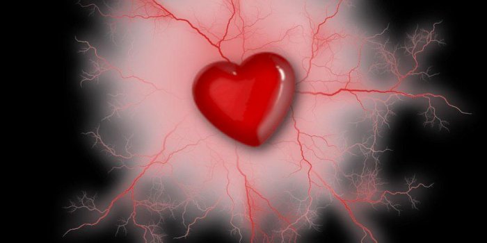 1024x768 heart pictures with roses i love you - Beautiful black and white